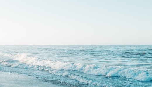 LINEあいさつ経由【ミニ財布】動物デザイン財布の案内