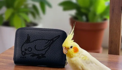 【オカメインコの革財布】限定販売の案内はこちら