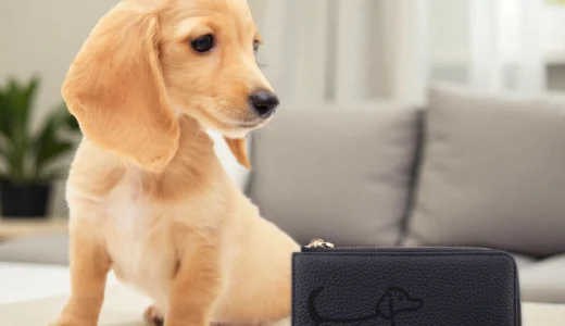 【ミニチュアダックスの長財布】限定販売の案内はこちら